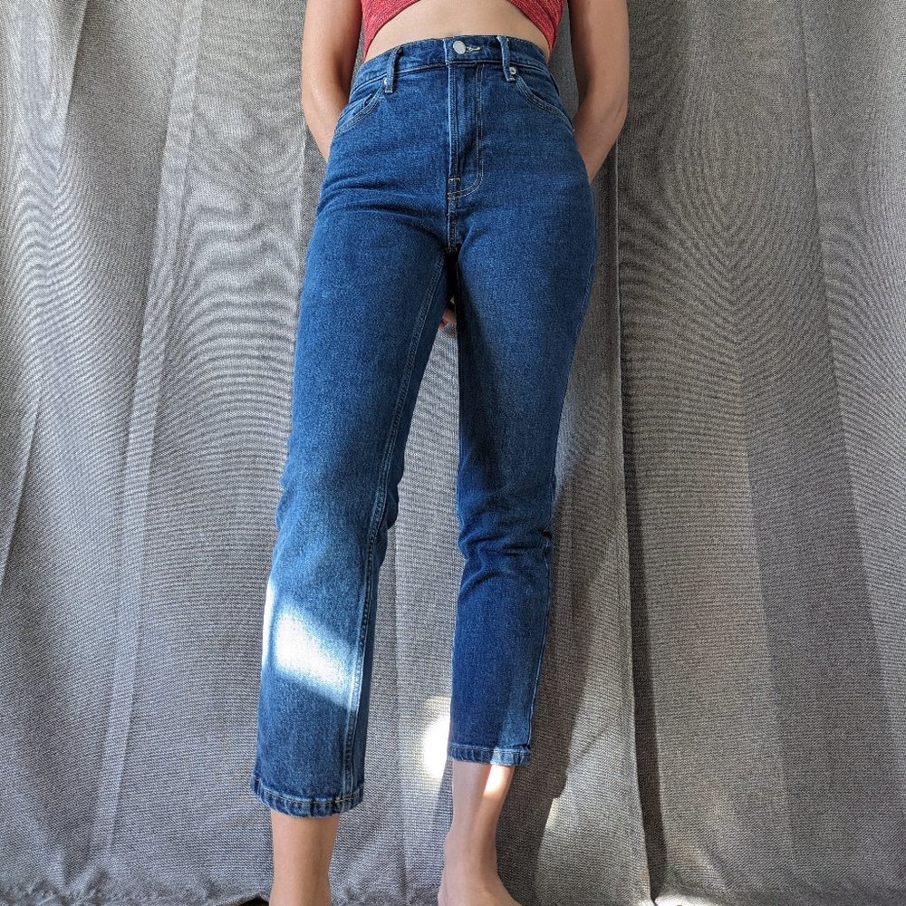 Everlane Original Cheeky Jean